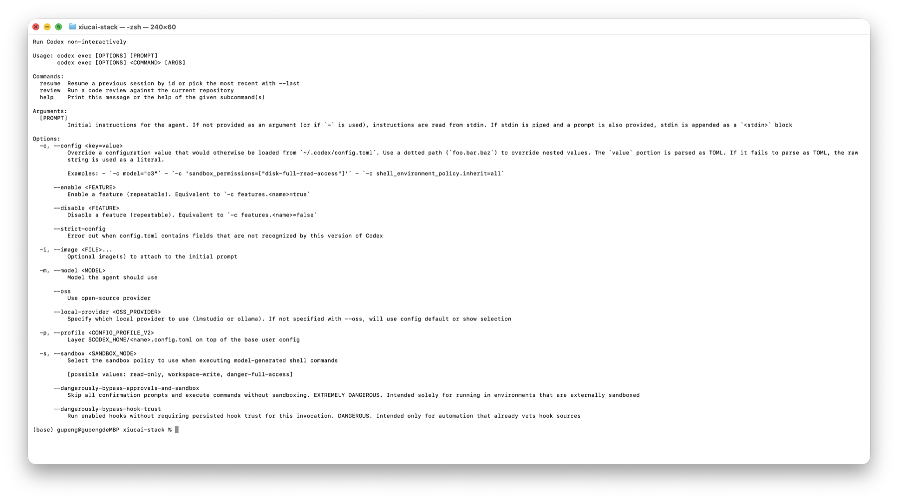 codex exec 参数帮助