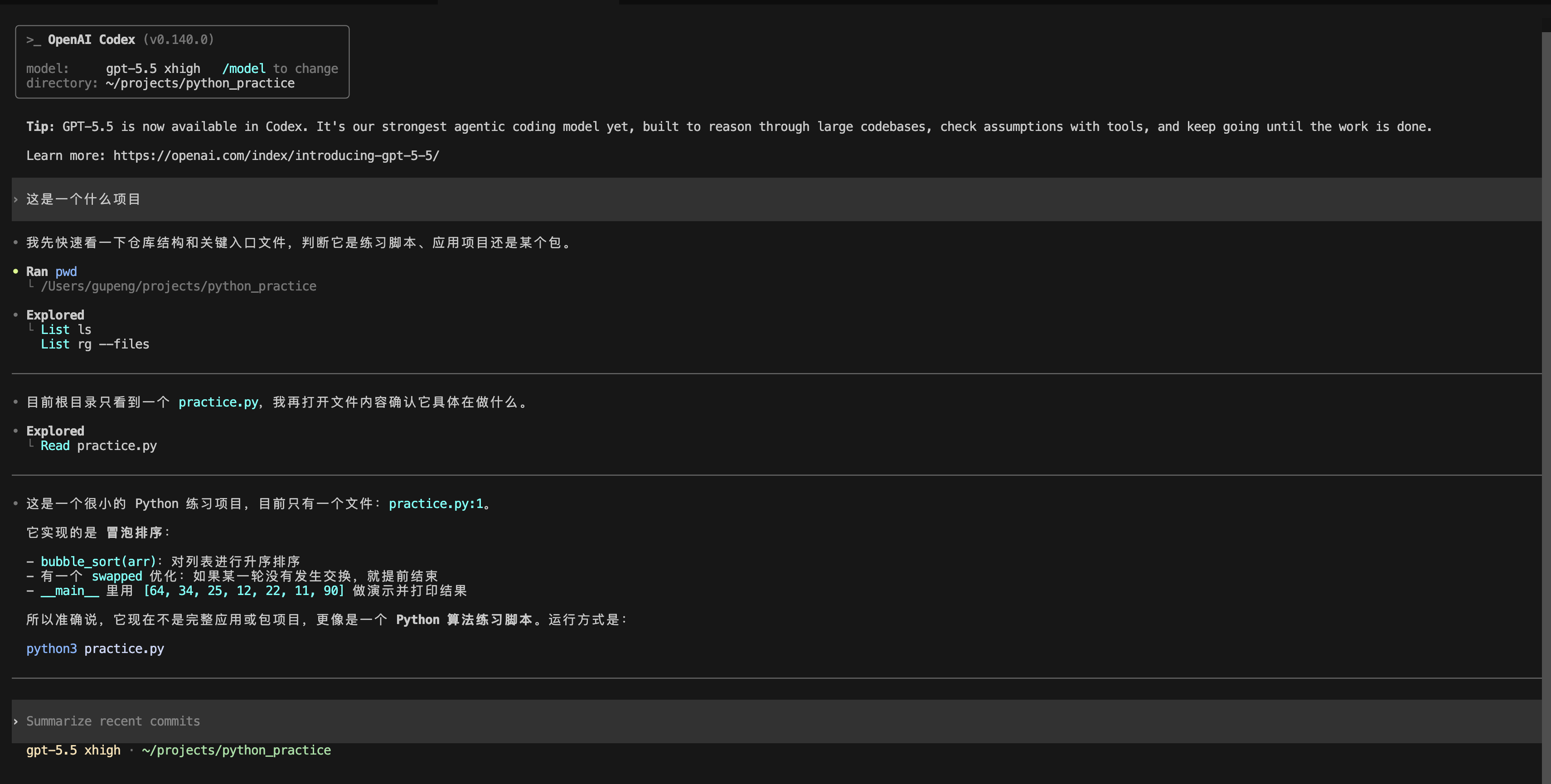 Codex 第一次会话
