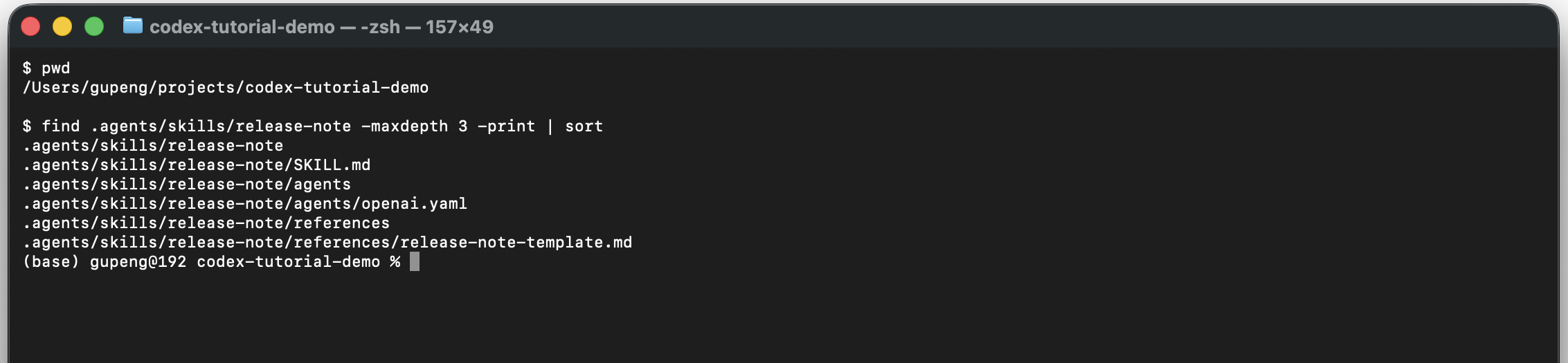 项目级 Skill 目录结构
