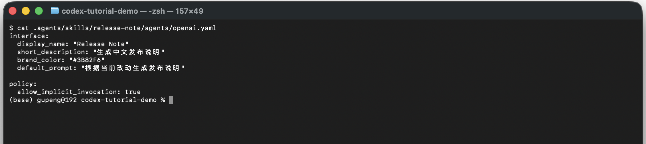 Skill openai metadata