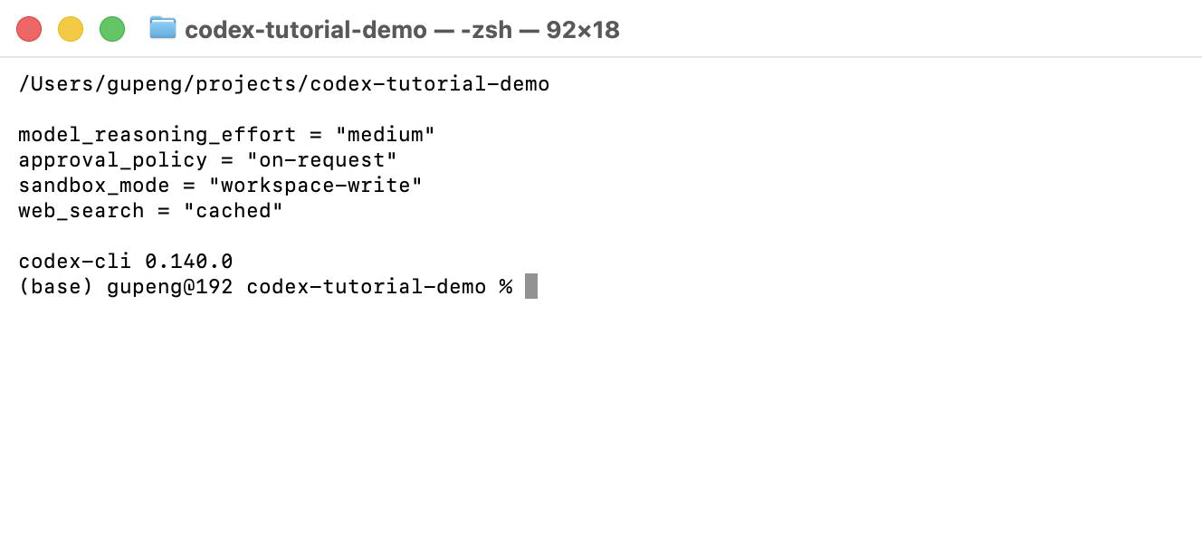 Terminal 查看 Codex 项目配置