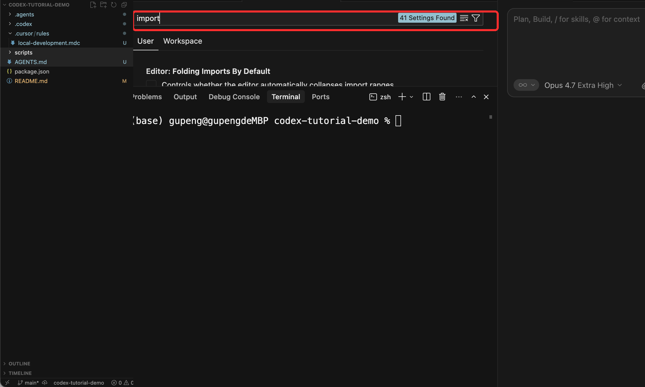 Cursor 设置页检查导入配置