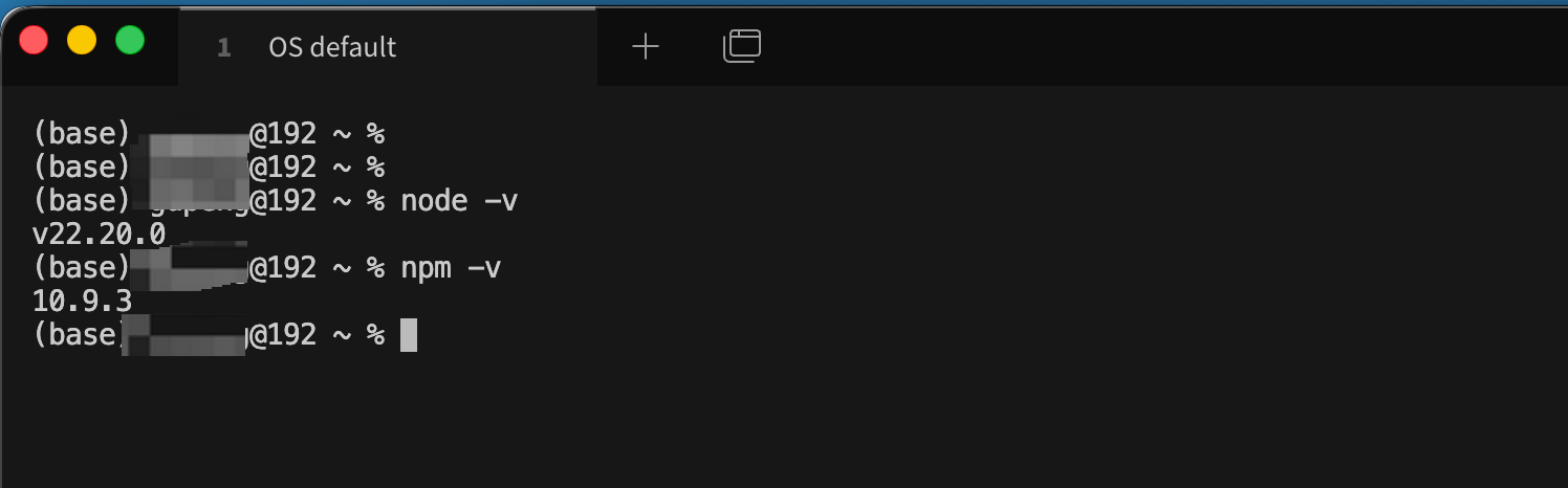 Node.js 安装成功后的终端验证